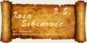 Kosa Sibinović vizit kartica